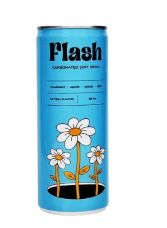 فلاش مشروب غازي 250 مل – بابونج، ليمون، زنجبيل، نعناع | مشروب منعش بنكهـات طبيعية - Image 1